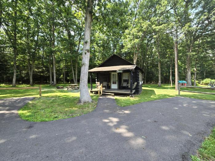 Swallow Falls Cabin 2