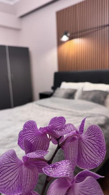 Comfort & Style - Calea Victoriei