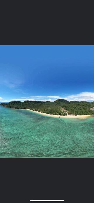 ช้างแคมป์ ชะอม