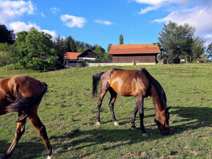 Ranc Polo Velka sobe