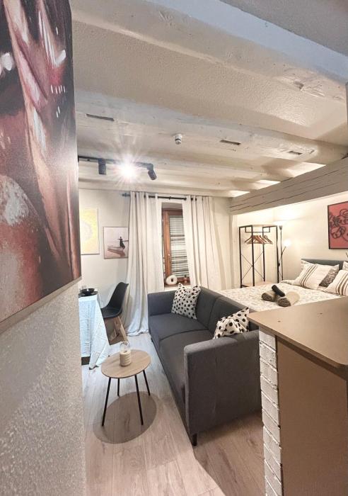 Apartment Hyper Center Strasbourg & Petite France - Entire apartment