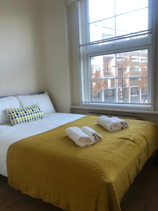Bright and Cozy Entire Flat Near Euston Station and UCL Hospital