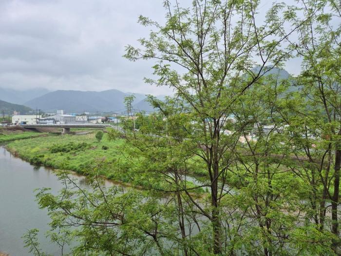 Gyeongsan Annex Pension