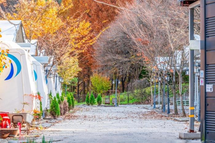 Daejeon Dreaming Farmer Camping Site