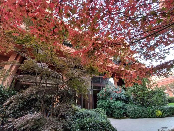 GreenGardenSuite, Central Station