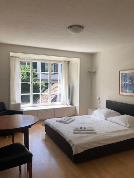 Charmin Studio in old town - UZ8