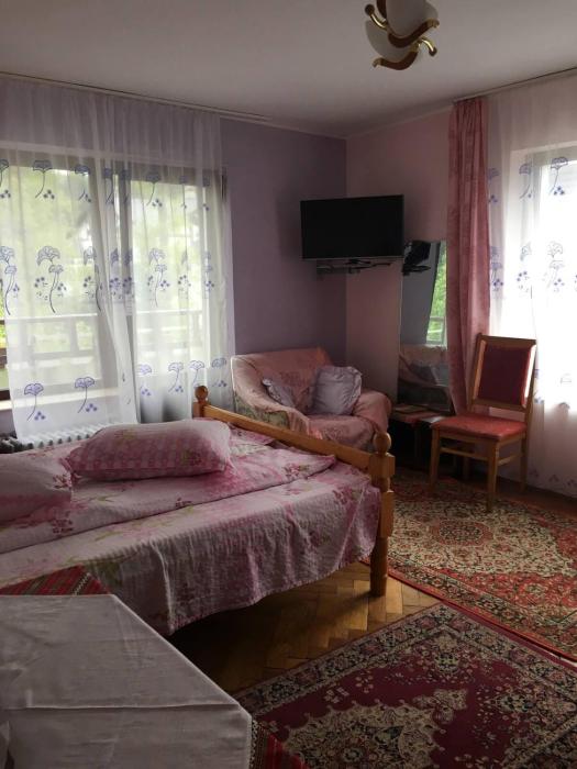 Vila cu vedere spre Bucegi