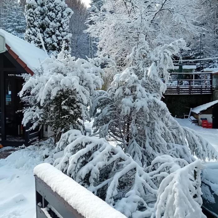 Apartament Stanca Piticului