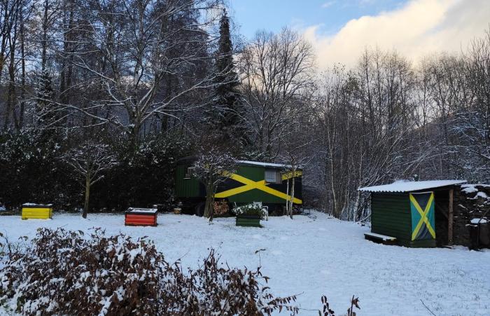 Maringotka Na Jamajce