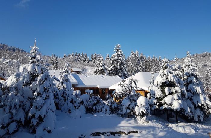 Відпочинково- оздоровчий комплекс ОПАКА з форельником