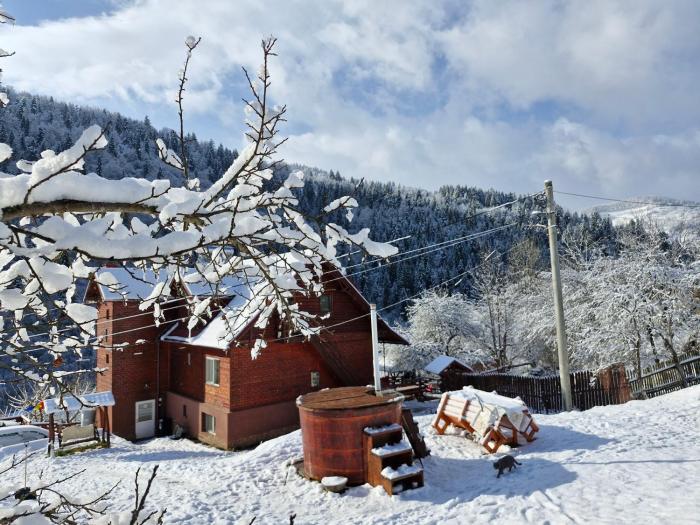 Pensiunea Cabana Viselor ,Apuseni