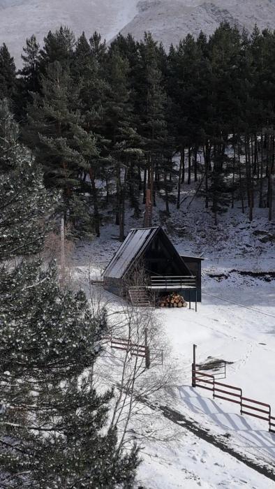 Mountain Waltz by Elia Glamping