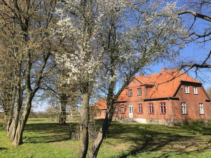 Stort smukt hus med havudsigt tæt på Møns Klint