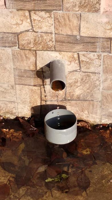 Будинок біля лісу