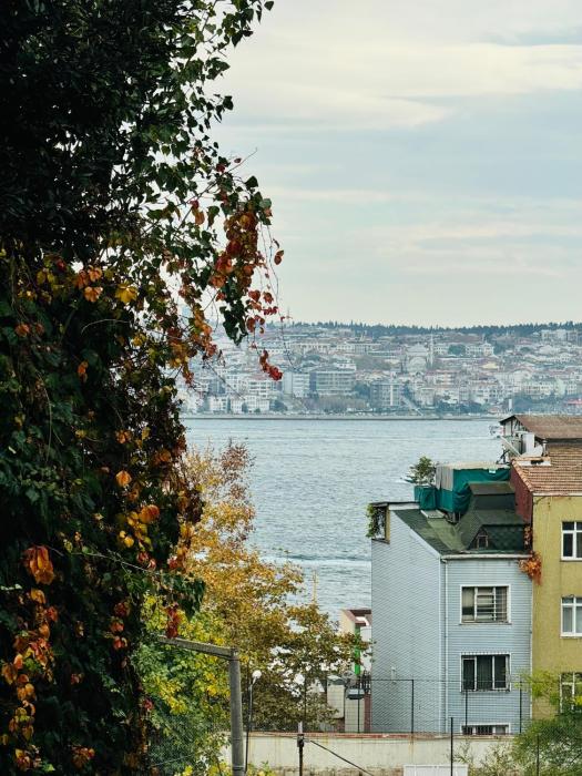 Дуплекс с видом на Босфор