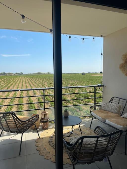 Appartement vue vigne