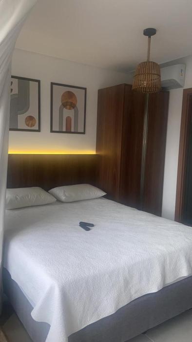 Studio Barra Premium