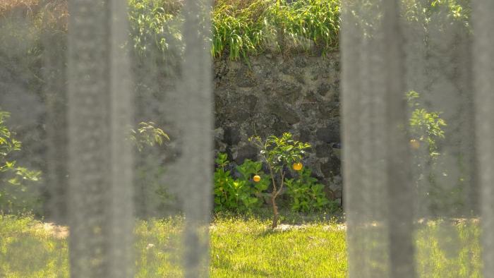 Jeju Pyeongdae 41street Pension