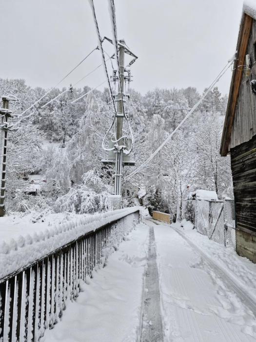 Rare Forest Retreat & Spa