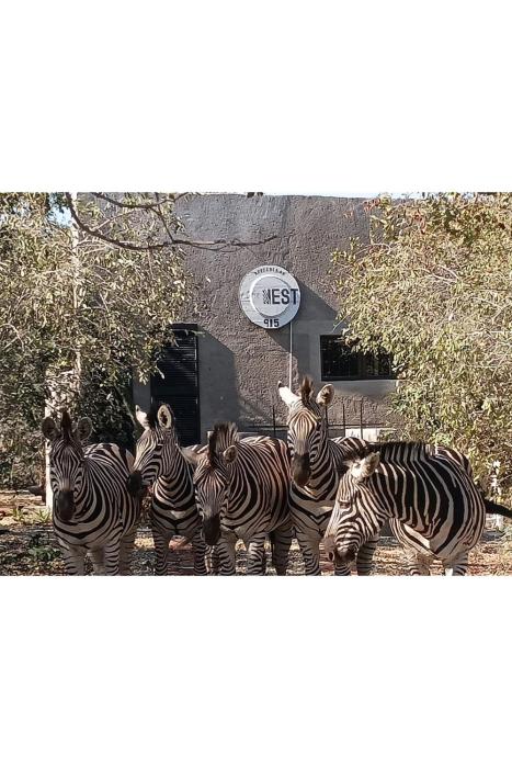 The Nest - Marloth Park