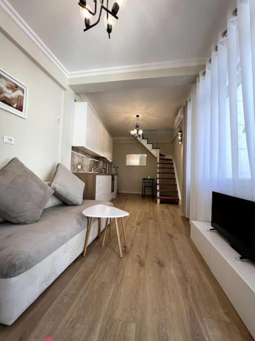 Florents 1-Bd Villa, free parking and garden