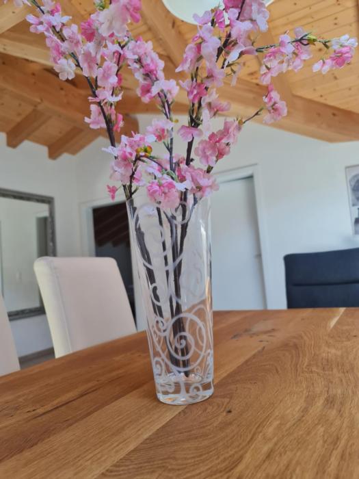 Jungfrau Penthouse - Aare Jungfrau AG