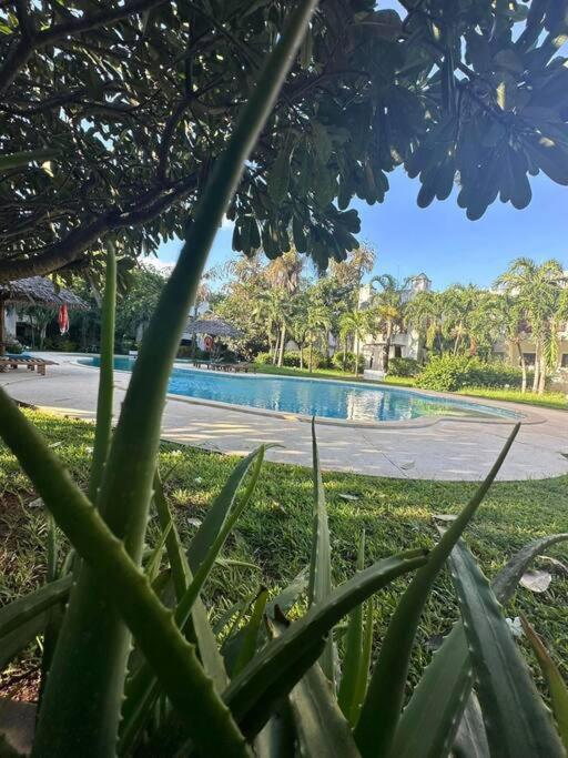 Malindi Tropical Apartment