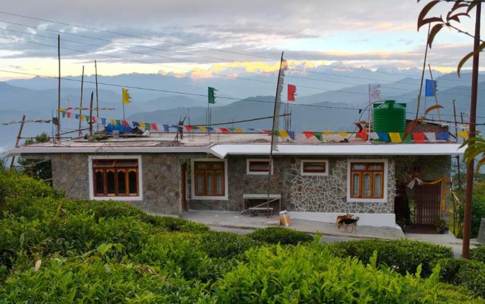 The Cherry Blossom Homestay By StayApart