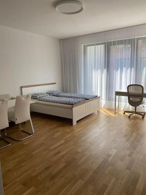 Quiet apartment near Prague centre