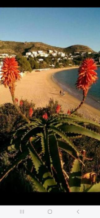 Appartement Almadrava Roses