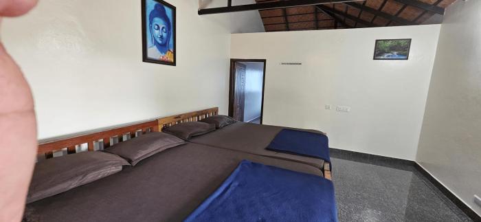 Agumbe Malgudi Homestay