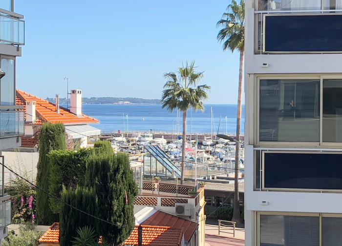 LHippocampe du Palm Beach