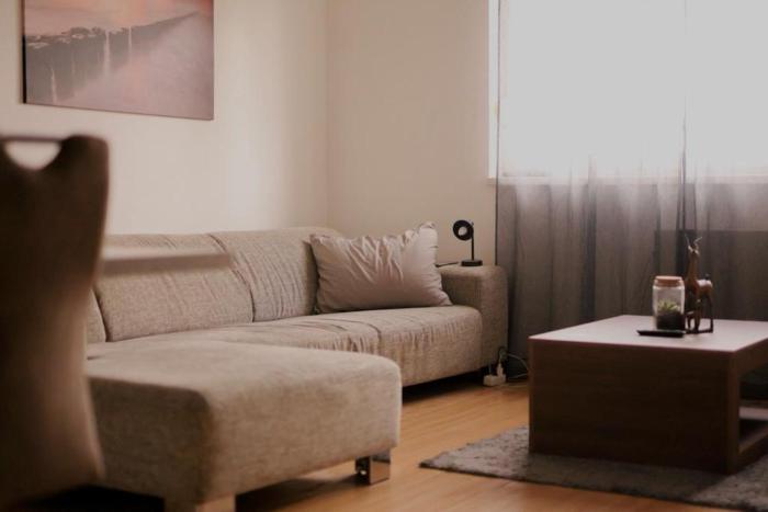 Zagreb beautiest apartment