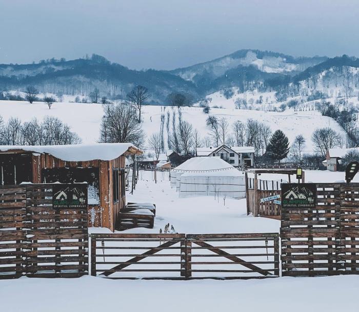 Glamping Iurte Mongole Spiritul Zimbrului