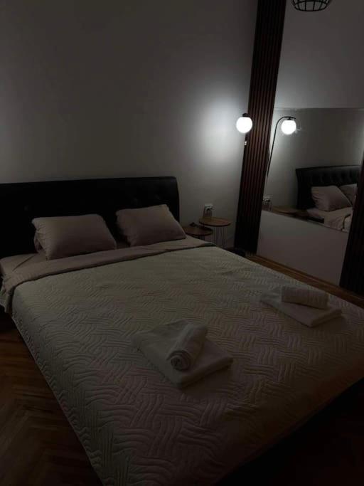 Buddy Apartment