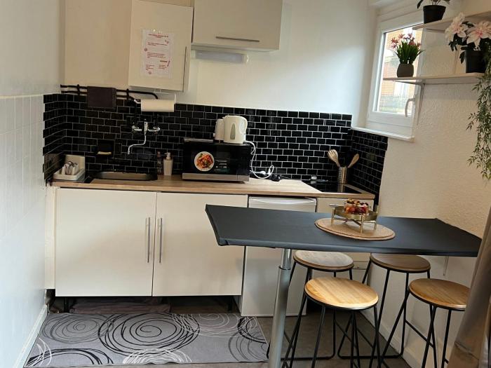 Appart strasbourg centre