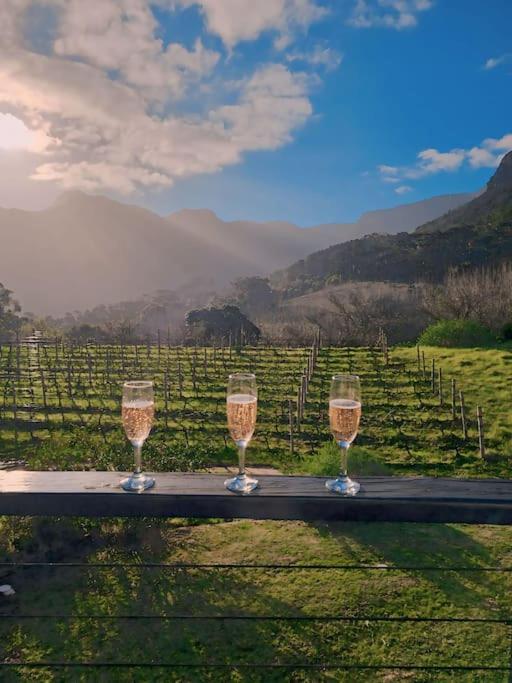 BestPlaceEver- Luxury Loft Apartment