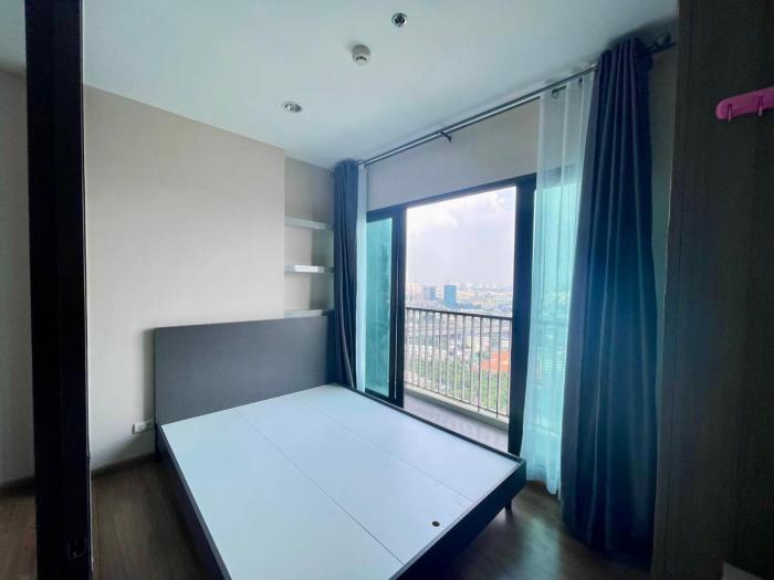 the Tree Rio Bang-Aor