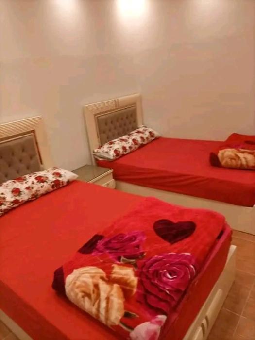 الاسكندريه