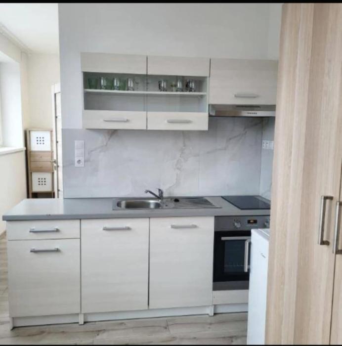 ApartmentAviatorBird