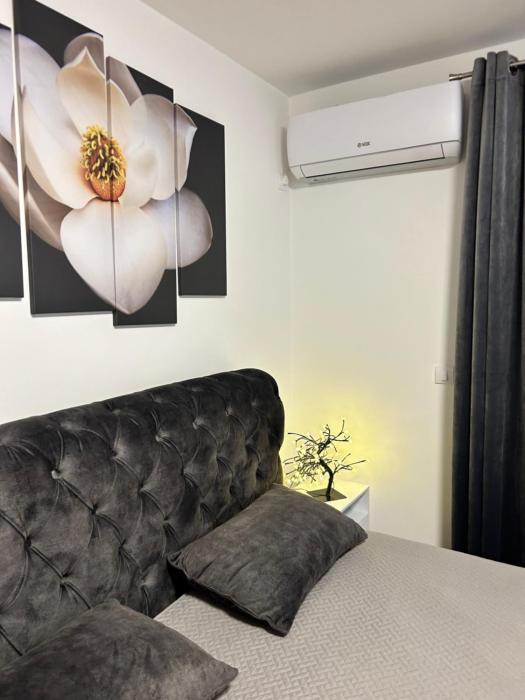 Apartman Sneznik