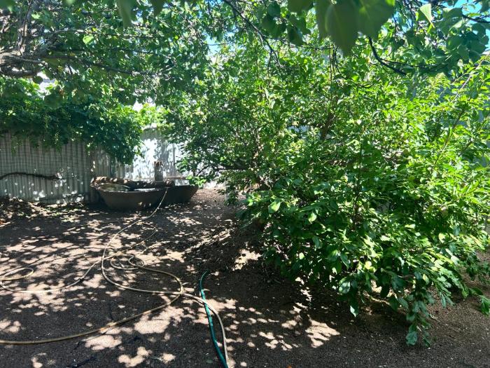 THE REAL CARTLEDGE AVE HOUSE ACCOMODATION, Whyalla