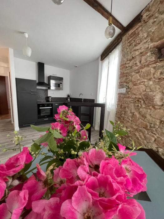 Le pont Saint Roch Logement lumineux avec garage