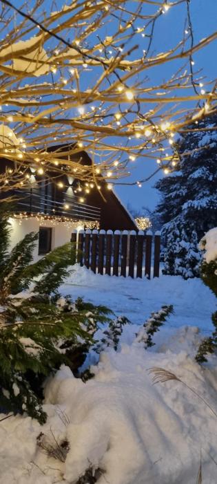 Apartament Willa Pod Sosnami Zator Przeciszów