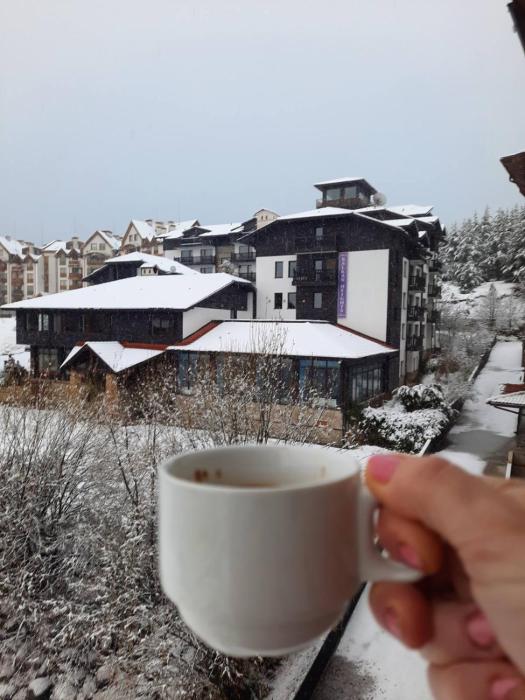 Apartment Wintermärchen Bansko