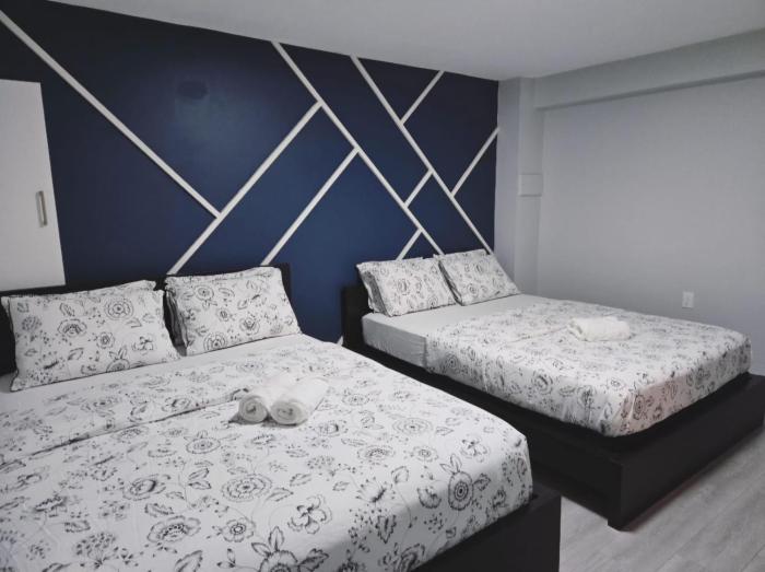 A new luxury basement apartment