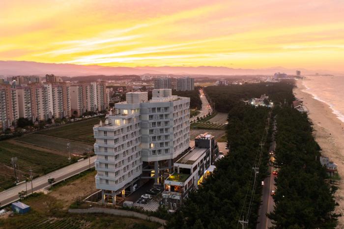 Gangneung PINEART Label