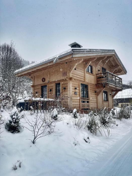 Chalet ski-in avec vue MontBlanc et Bain nordique