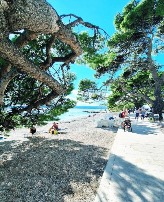 Beachview Apartments Podstrana