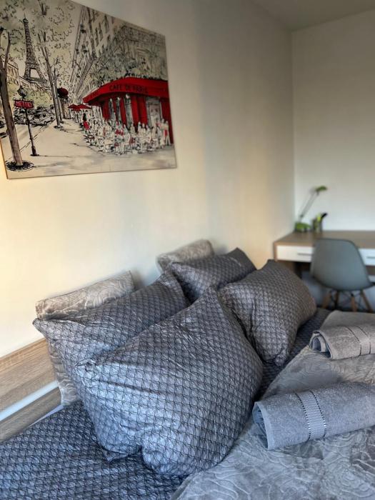 Apartament Wieluńska